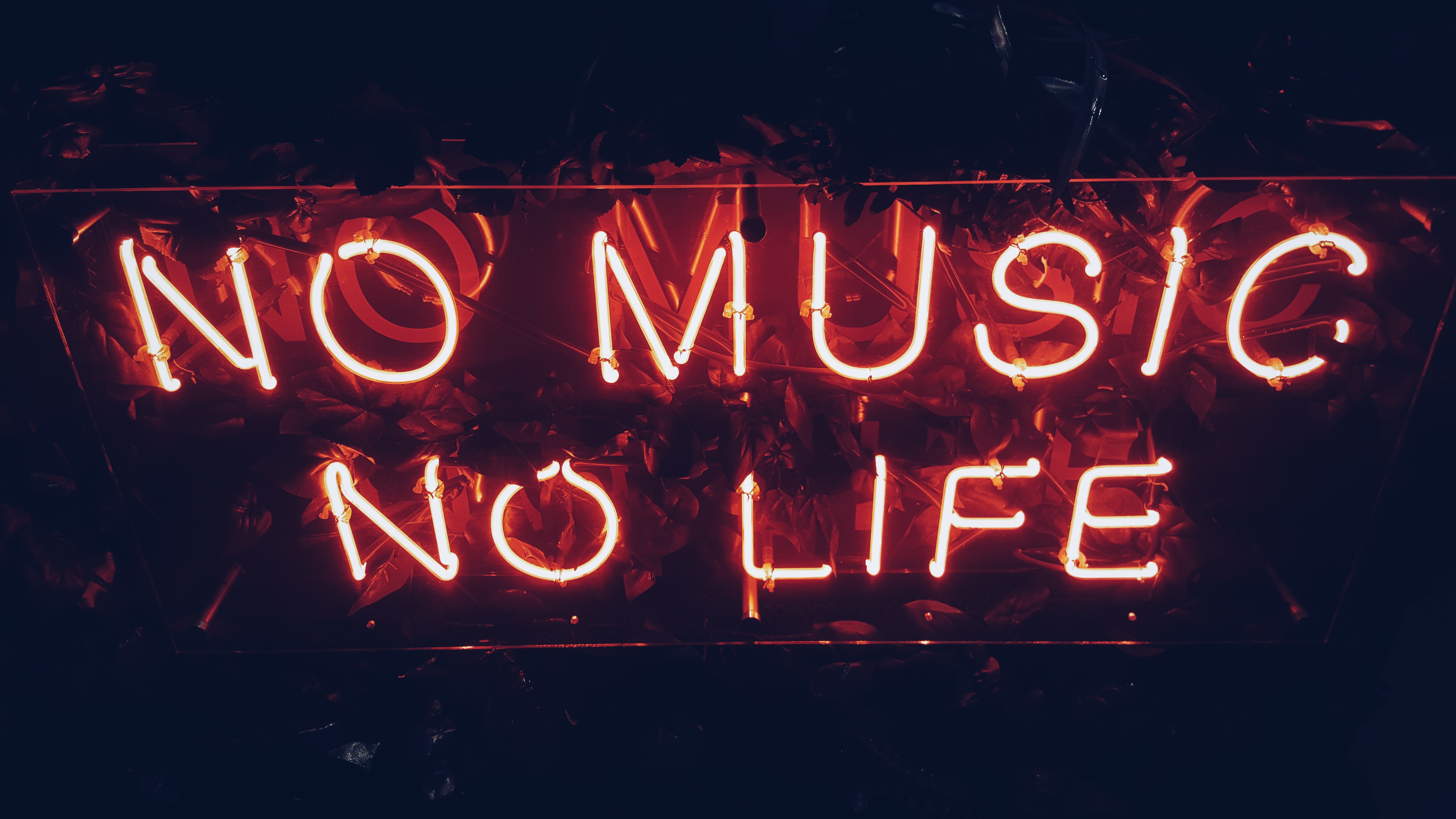 Live music atmosphere